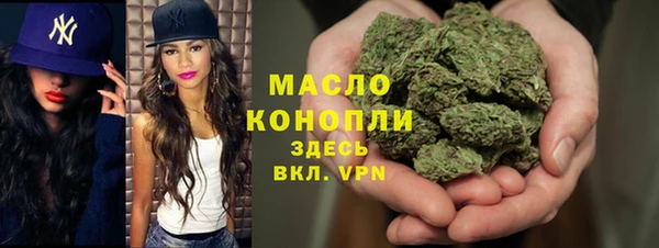 сатива Бородино