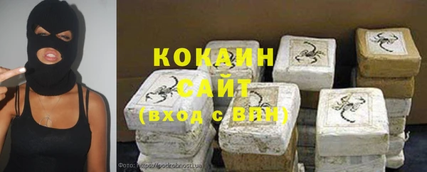 сатива Бородино