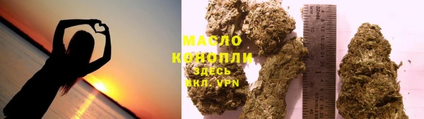 сатива Бородино