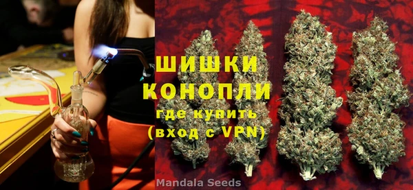 сатива Бородино