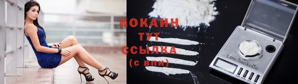 сатива Бородино