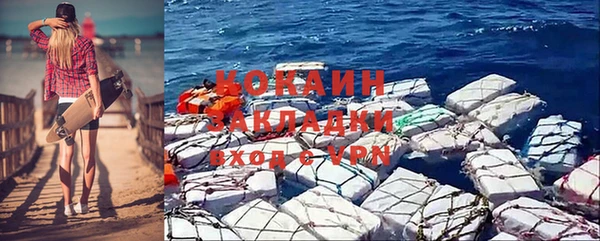 сатива Бородино