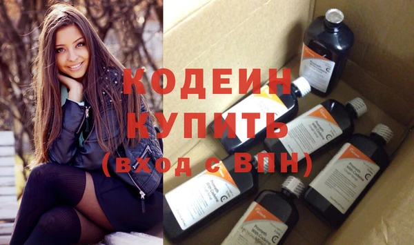 сатива Бородино