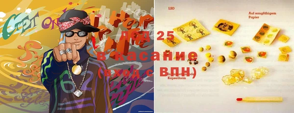 сатива Бородино