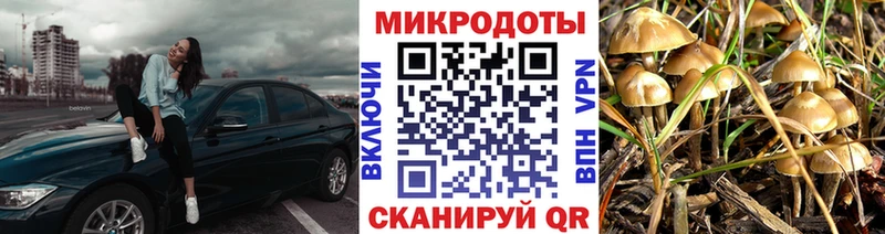 Галлюциногенные грибы GOLDEN TEACHER  Томск 